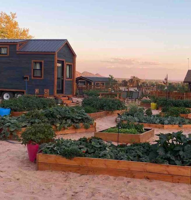 Atlantis Garden Tiny Home Hildale Kültér fotó