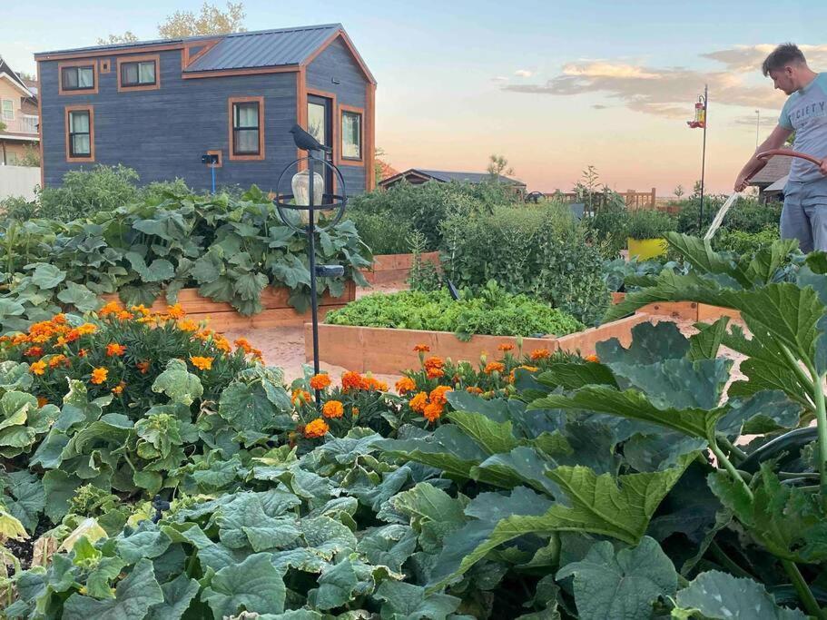 Atlantis Garden Tiny Home Hildale Kültér fotó
