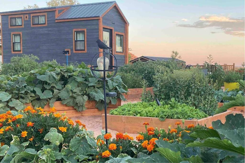 Atlantis Garden Tiny Home Hildale Kültér fotó