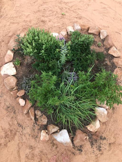 Atlantis Garden Tiny Home Hildale Kültér fotó